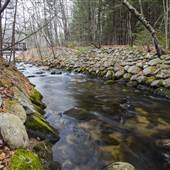 Moose Brook State Park