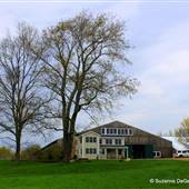 Kingswood Farm