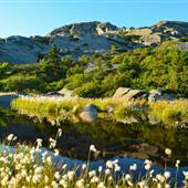 Monadnock State Park