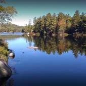 Pisgah State Park