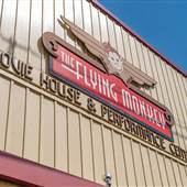 The Flying Monkey