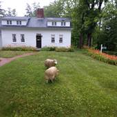 Antique 1802 Home in Warner