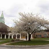 St. John Neumann Catholic Church