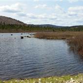 Deer Mountain Campground
