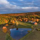 Blue Forest Farm Estate