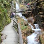 Flume Gorge