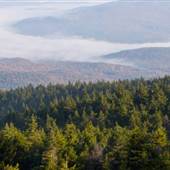 Winslow State Park